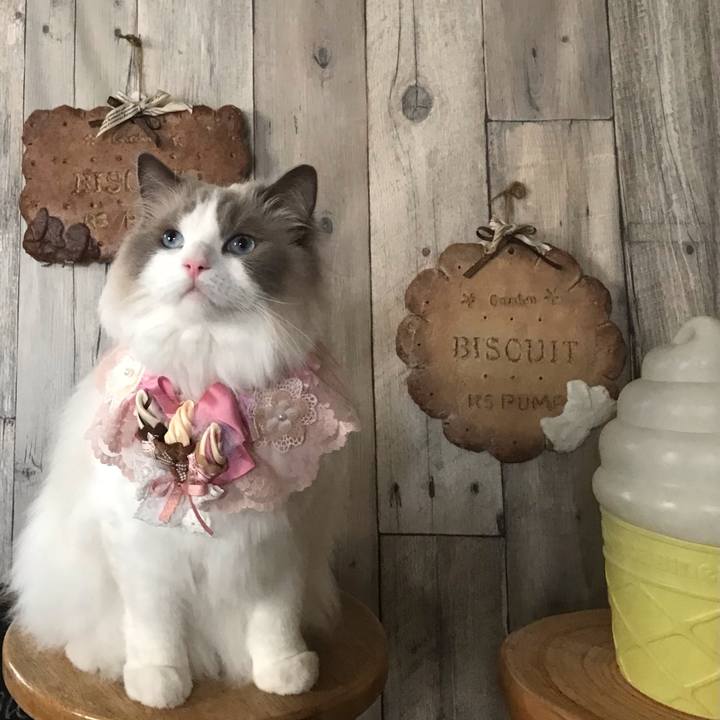 4e418353 1fd2 4868 8b1b b32c49a43ee1 1626386100415