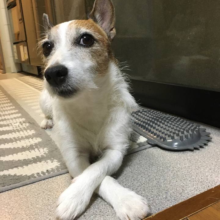 4e418ad3 9229 40dd bb72 61a4af0ebf79 1659050474723