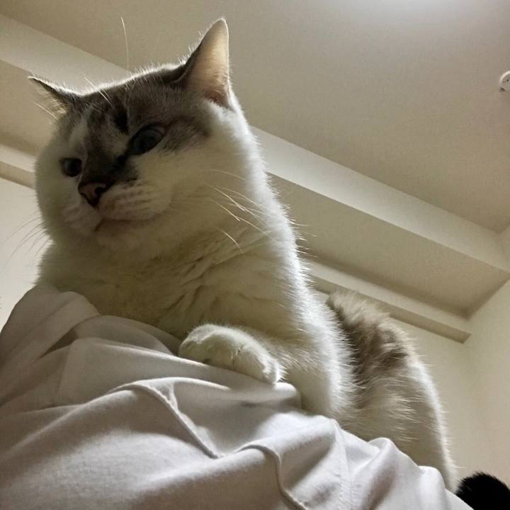 4e419315 8662 44d0 9bb3 1cd1037d95d8 1542800850539