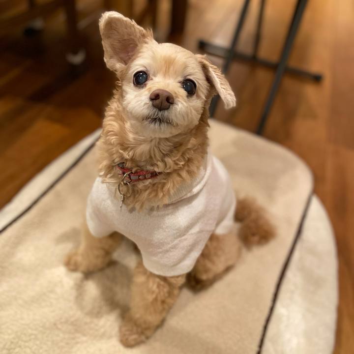 4e4194bc 40fd 4432 8c26 0a97c3bb38d7 1672143002758