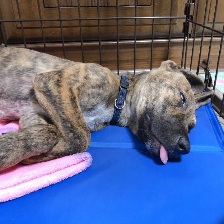 4e419a11 ed0c 4578 8e5f 8500b393810d 1569422477235