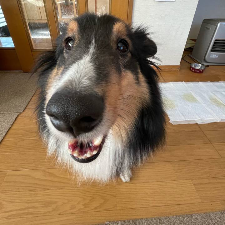 4e41bb86 928a 43dc b763 cbeeded6c16f 1610324519106