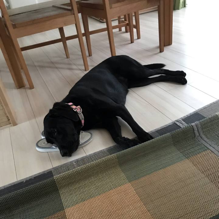 4e41c6f5 de3b 47e4 b209 5eced8c0f49a 1567336775766