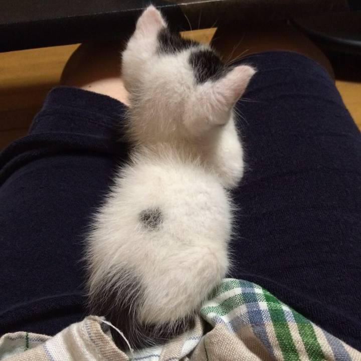 4e4204ff f137 466a bcb2 db5eab4ae6e1 1531006182820