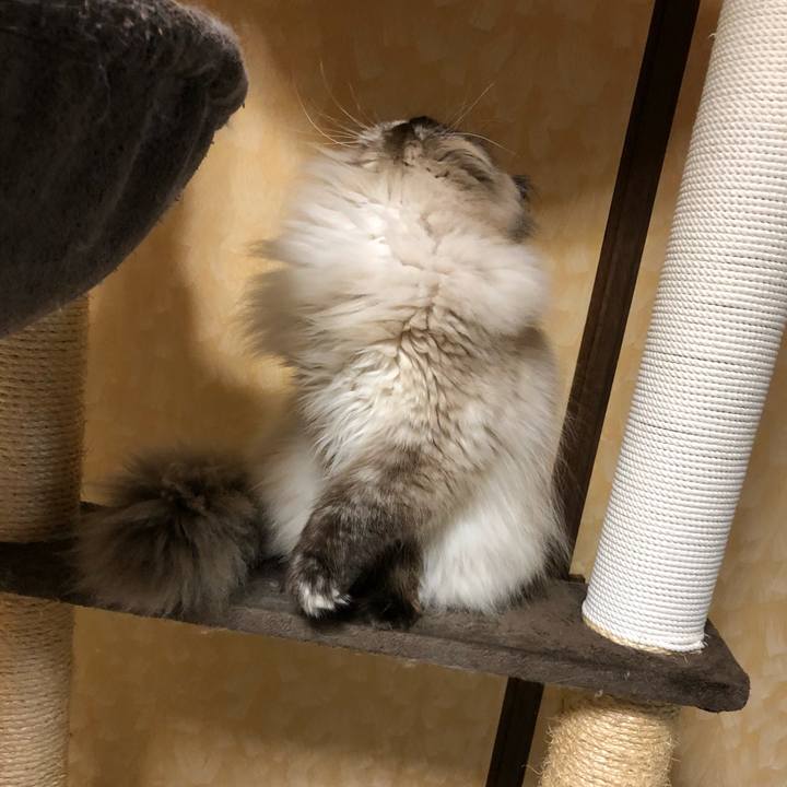 4e4243c0 c3ec 45d8 b241 e7d39e71d375 1652705980689