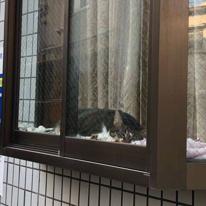 4e427ea4 c988 4210 b6d7 a69cde0923bf 1603572808579