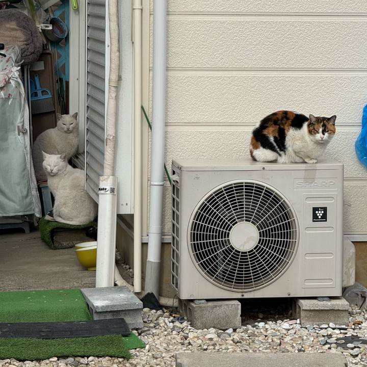 4e42f5cb 3d32 4817 ba78 7ab8f296e565 1770949801232