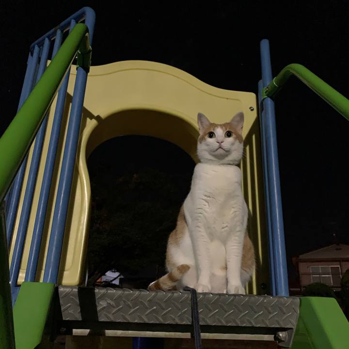 4e430755 e84b 4d2b a904 27f0a3c16944 1600597620467