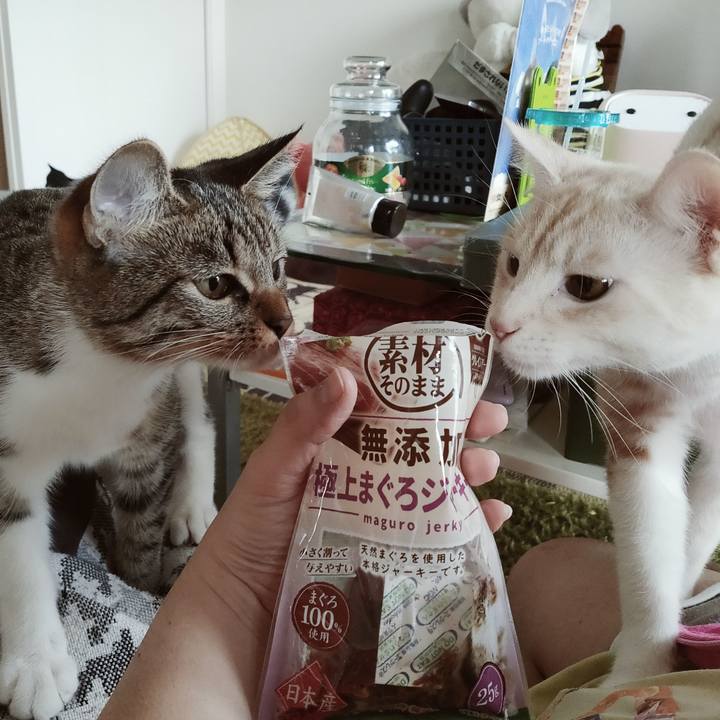 4e431af6 2140 411a b1c2 f01c3a49b96a 1639095669192