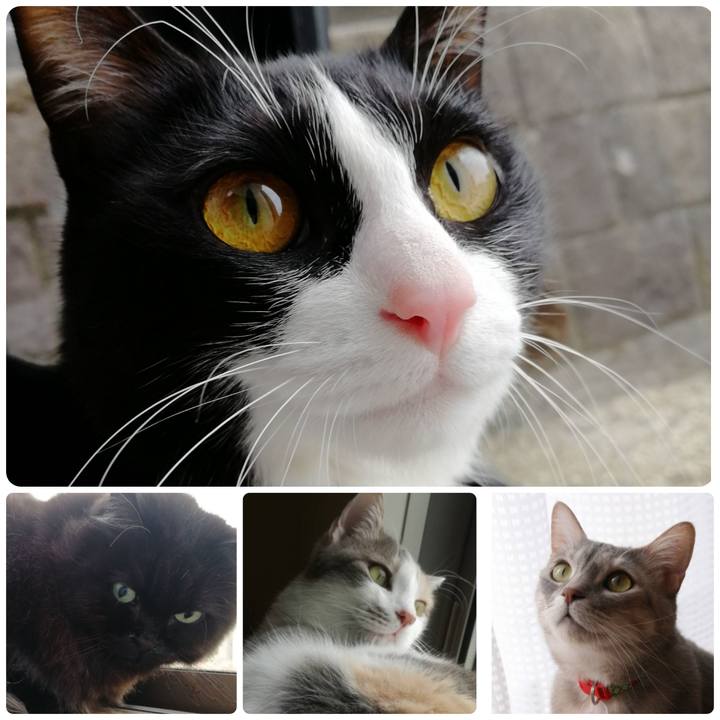 4e431f85 a1c5 4191 b5b2 20fc180ce483 1551526057647