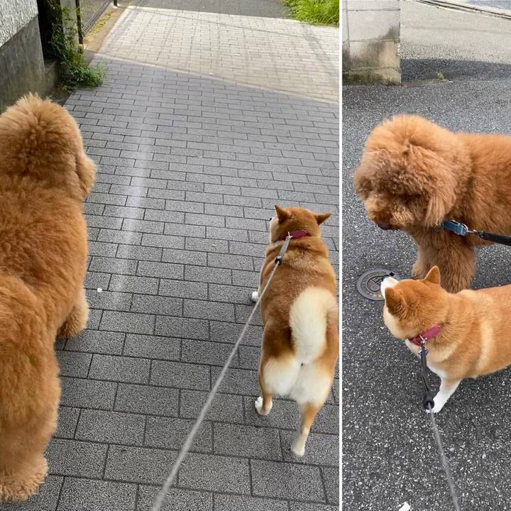 4e437cc4 ad95 4397 8052 de41aa9dc281 1631319780007