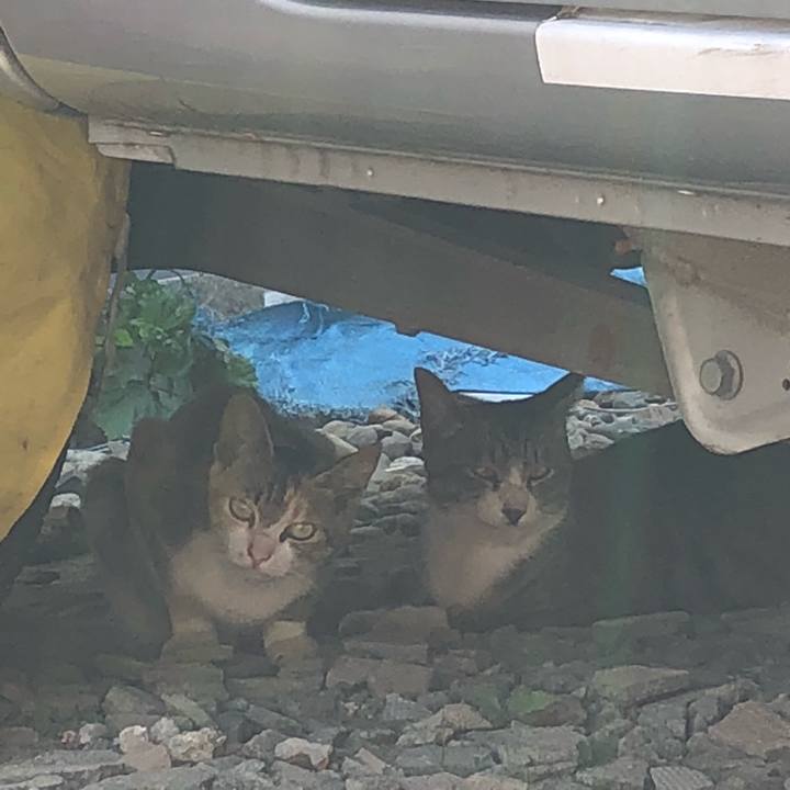 4e438be5 cc13 48b8 b899 df87d1a014dd 1530459405454