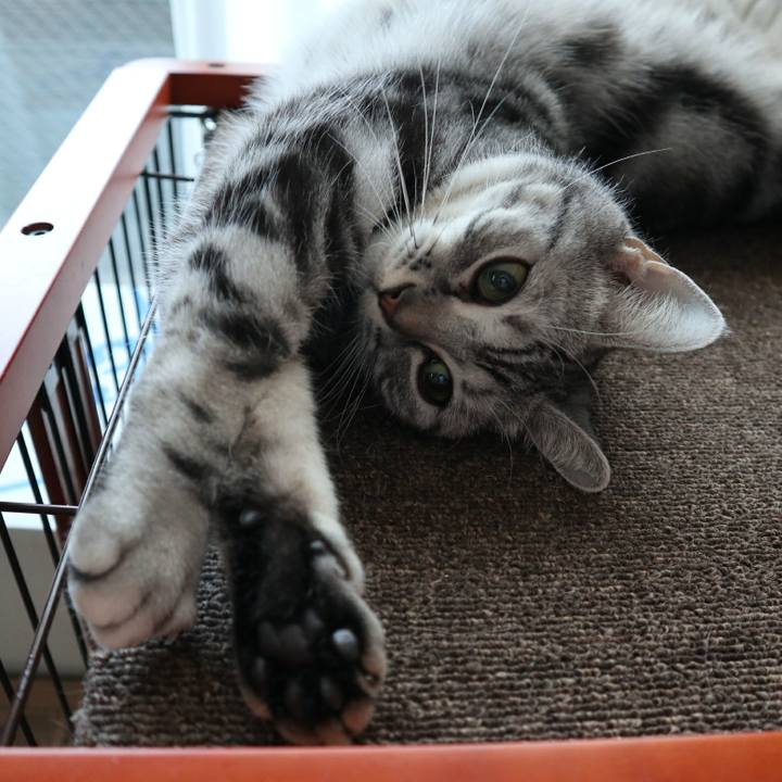 4e43c122 cf26 440e ac5c bd6351bcb133 1583634805759