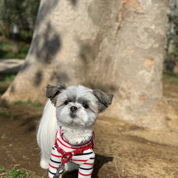 4e43d4df 9d67 4eca bec1 155aff77cbdc 1552357989429