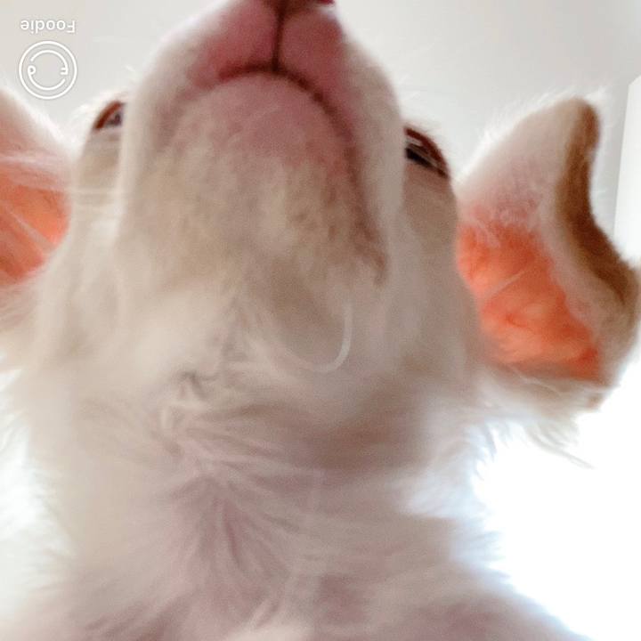 4e43dde8 ca2c 4ca2 b9df 15f850055eeb 1591152144960