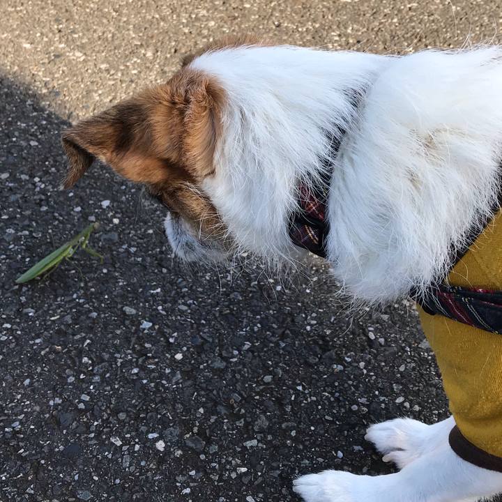 4e43e505 6562 4dbf bde6 8ab1e840df30 1543481526721