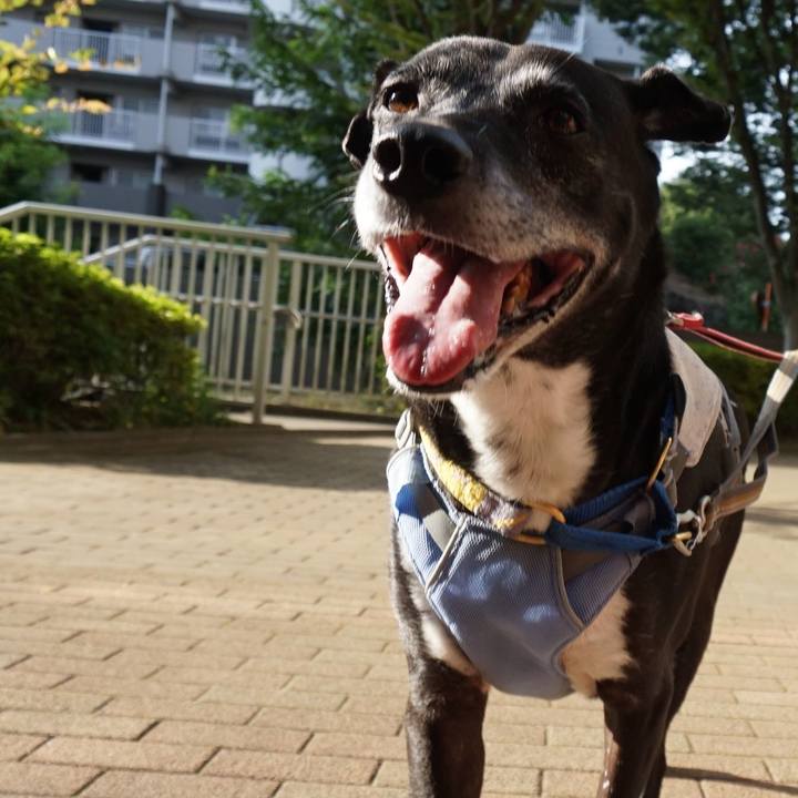 4e4403c8 8216 43a5 9f4e f6aa1da61462 1756425985441