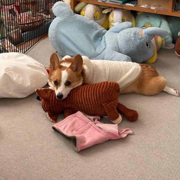 4e440f11 3684 494c a8a4 984728542682 1766814913910