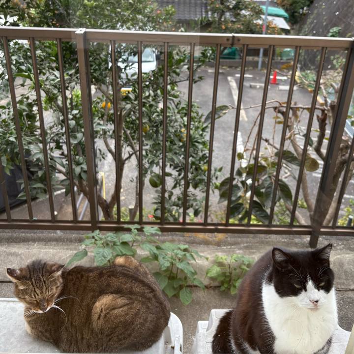 4e4425f5 feee 49e2 838a 278e338e0bdc 1762830624639