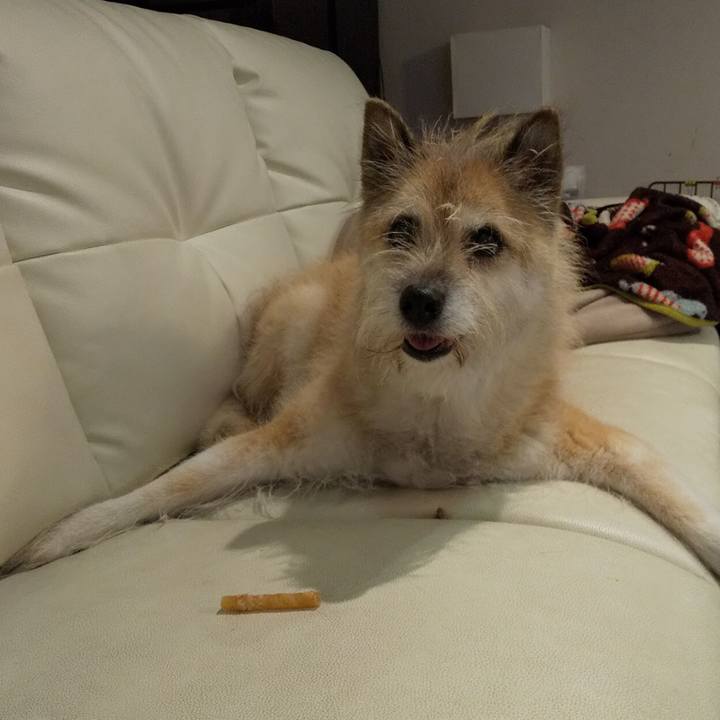 4e443ef0 921d 4b3b be4d ae6ffda77ba6 1570457295785