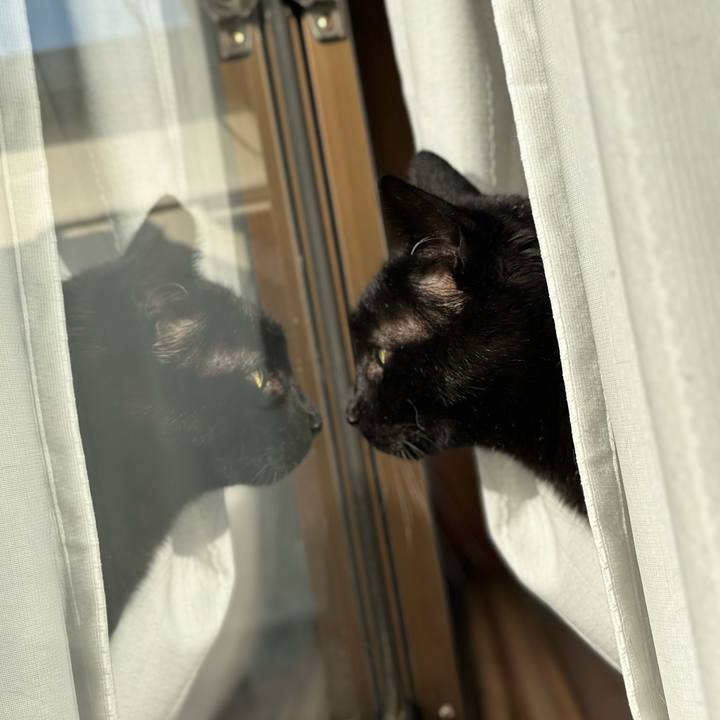 4e4440bd ffae 48fb 980b 46e9cbda6ea2 1678671784247