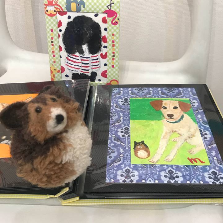 4e445497 8047 4bce ad10 cf380925e55b 1524886646330