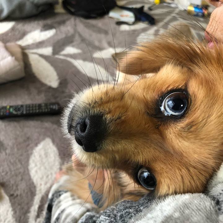 4e448450 8541 4789 845b 7389d728c9b4 1549848977558