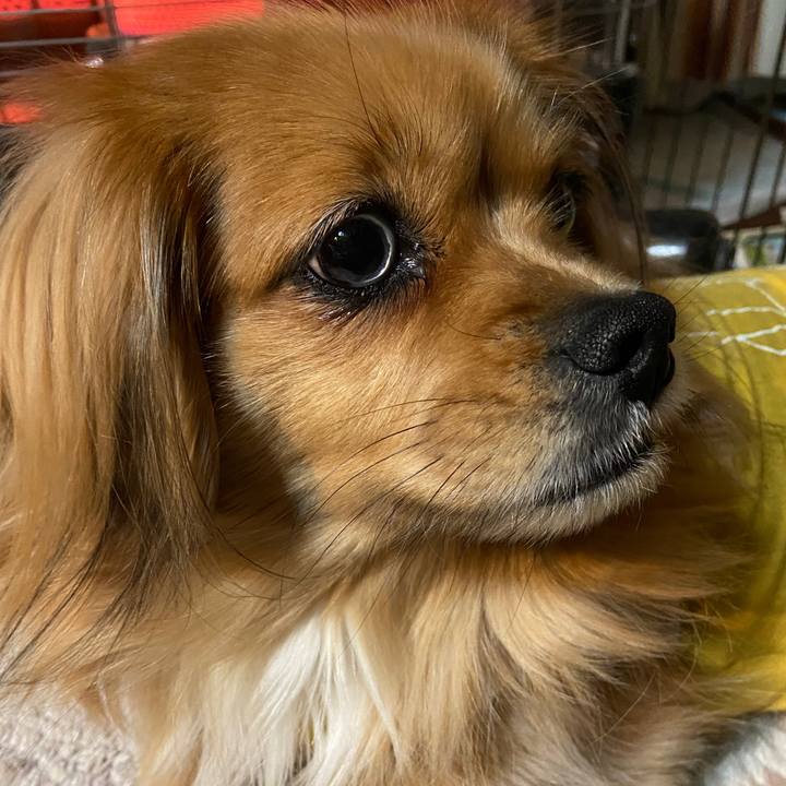 4e448cc6 6e65 4647 af6d fb64d5338104 1642194460508