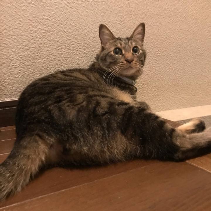 4e44b674 e51e 42b3 ba02 c6fc8453102b 1592935220054