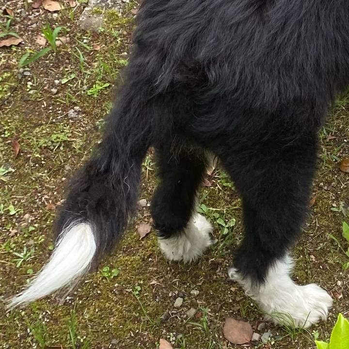 4e44da78 7c0d 4c89 9864 ed3acb9648a4 1684731777901