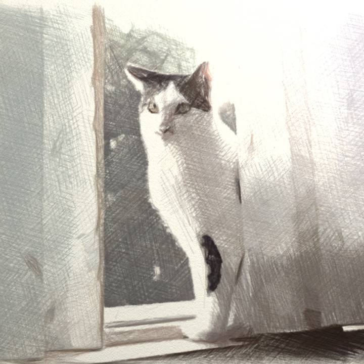 4e44db2d c3e2 44ad 8146 f4f6b9c7c926 1510631789320