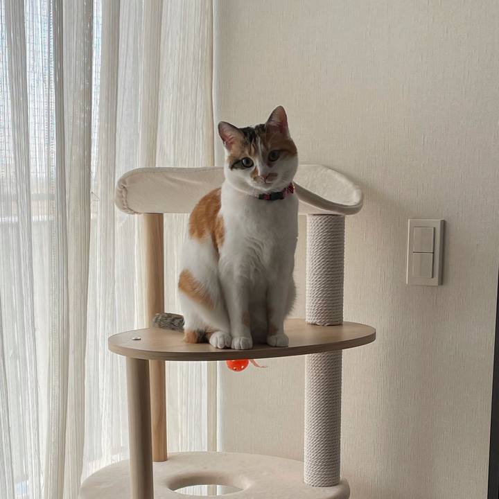 4e44db46 eccd 4778 973e 4fc971e970ea 1614816829753