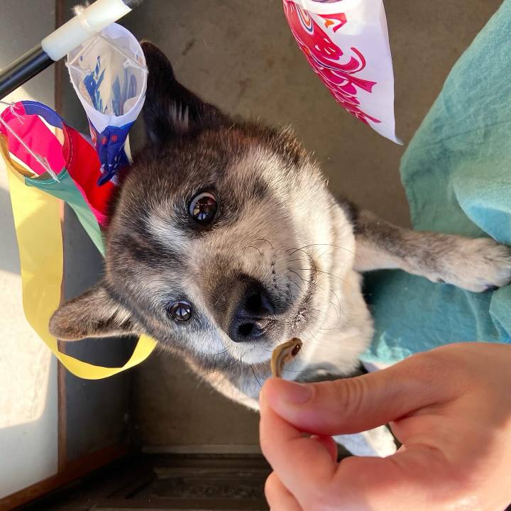 4e44dc8b d0a9 4aa6 a1eb adb04c2329c9 1714900514001