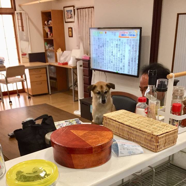 4e44fd3e 2c54 483a bb33 3e37e7620503 1532475695718