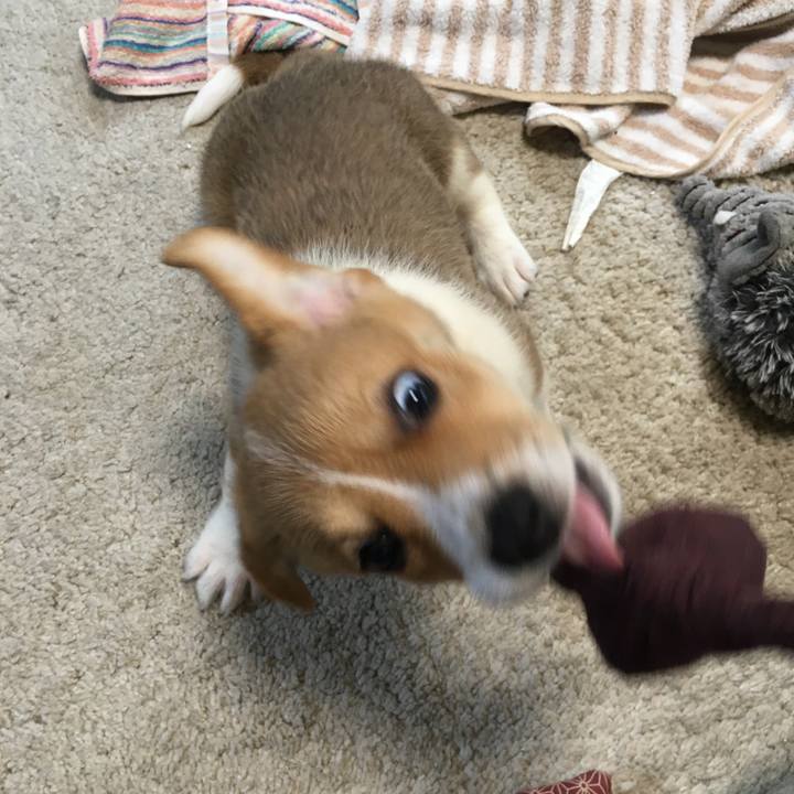 4e452e36 9c56 497c a18c f05a58990f99 1589669003745