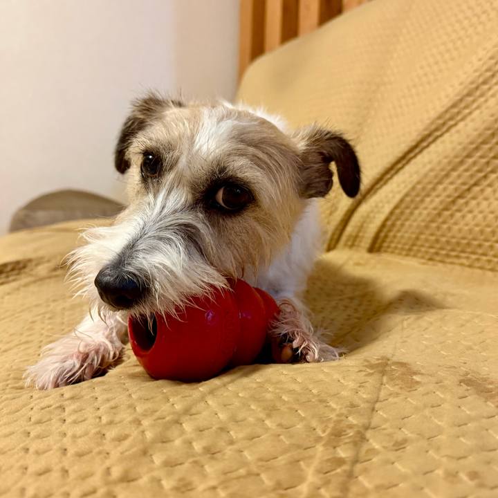 4e455bd2 5579 40c2 9b56 a6201ccf5a17 1764073800988