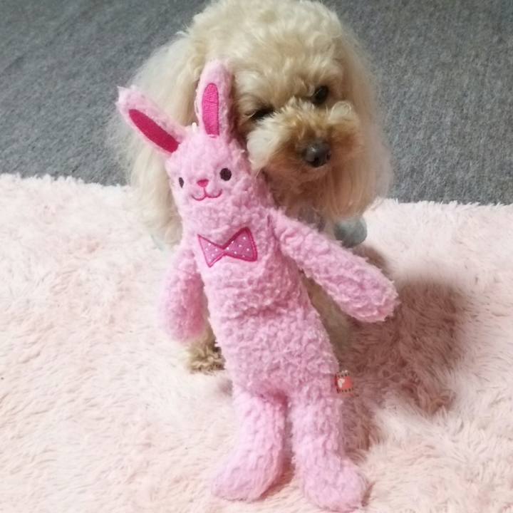 4e4597be e222 4e3a 985d 755ebd71b57e 1524053222064