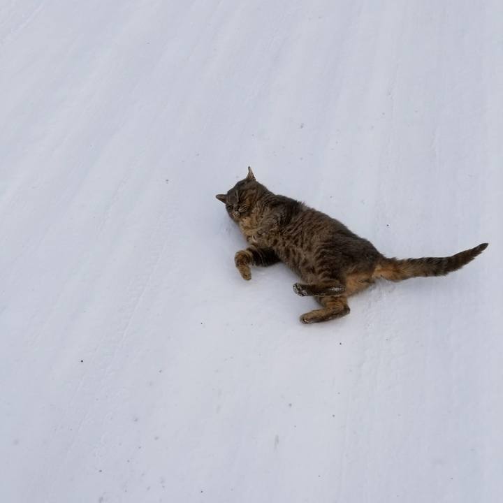 4e45a82d 66d2 4907 9dc4 eb7526ba3671 1519399281642