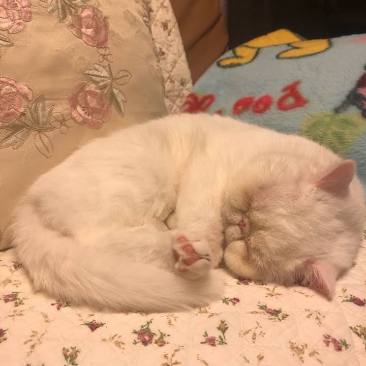 4e45c4df fe30 4e15 b6eb a765db9a3056 1576409869525