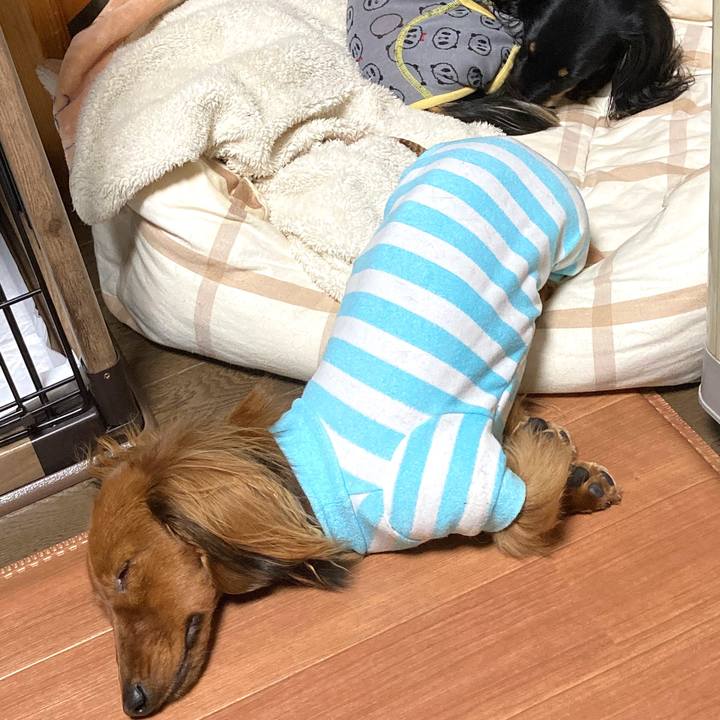 4e45d826 f140 4b30 a6c4 2f2110a28482 1742046491182