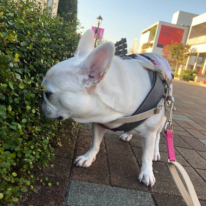 4e45dc42 647e 49a8 9260 dbc23199f5db 1636280236783