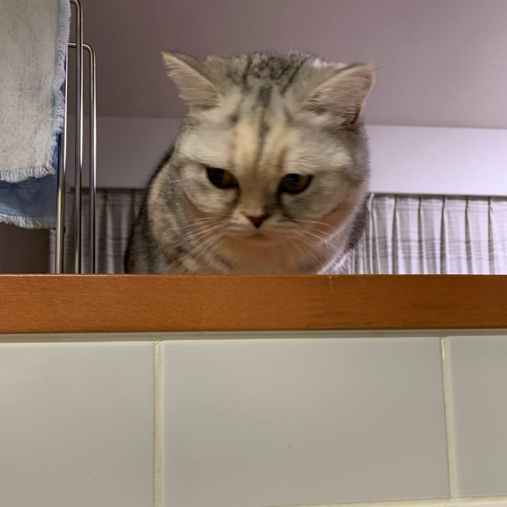 4e45fa73 249f 435e 819b 435c95d71cec 1709120017070