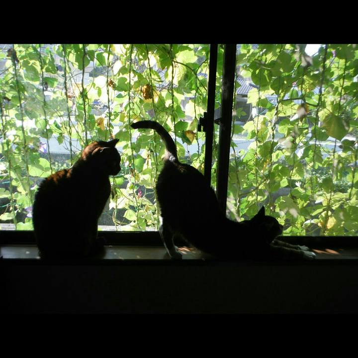 4e460543 1933 46f5 b8df ac903d562047 1508916937035