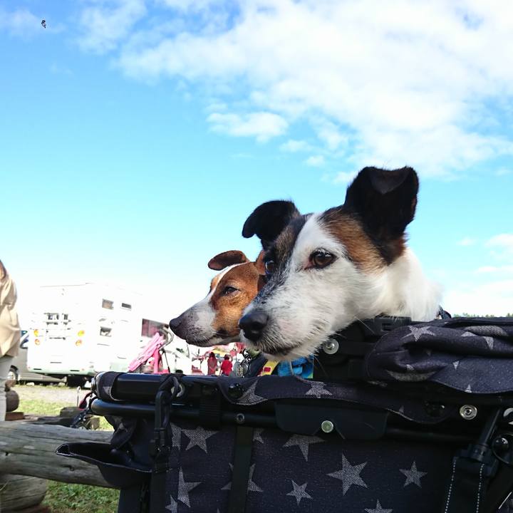 4e463352 41f8 49bb 91b9 a262bc4419cc 1602399581507