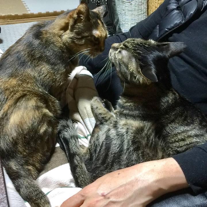 4e463365 ba45 45ce 9b00 0c3520fed84a 1547735830731