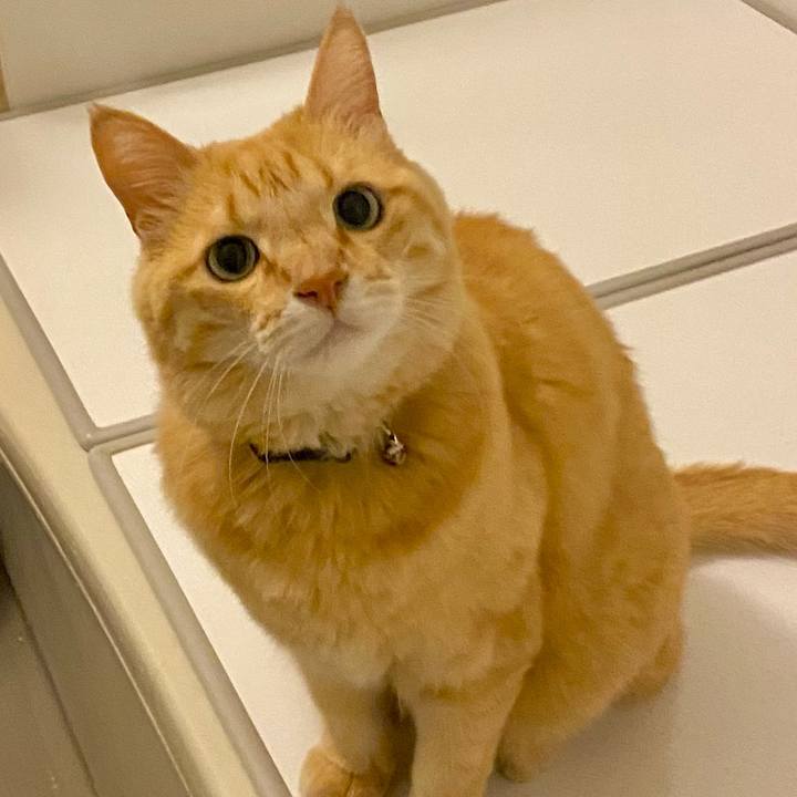 4e463f48 d026 4f2f 9208 fb7da91f5111 1749950369846