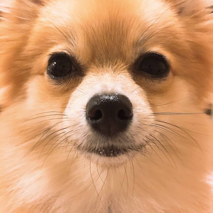 4e46579b 2618 48cd 9f07 5332f82a9c94 1523446319629