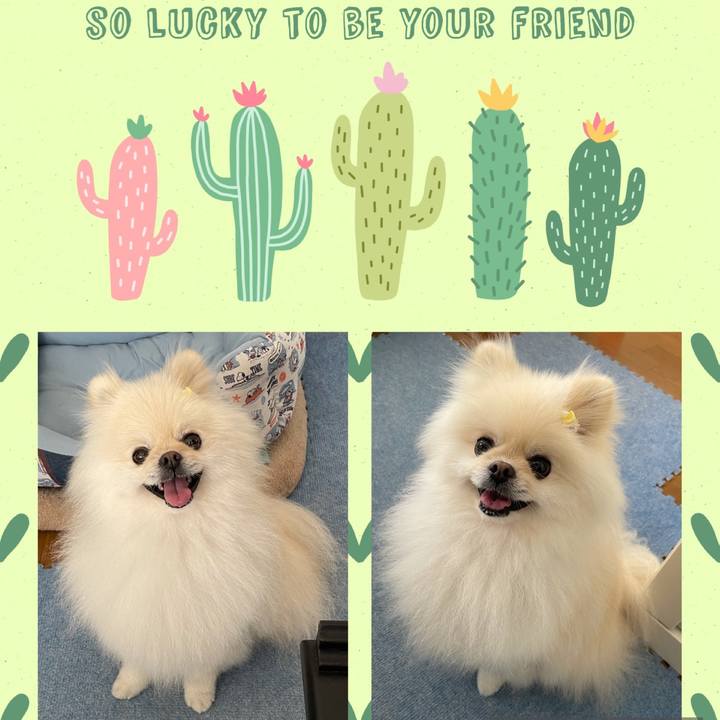 4e4663d7 aef8 4eea b850 5d33d49e75d3 1622432703292