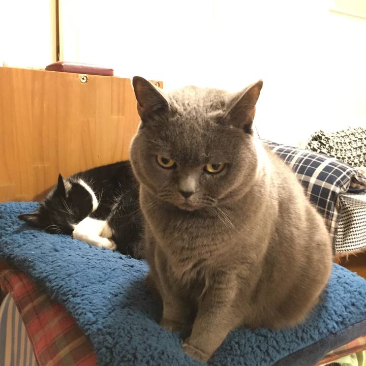 4e46907c ce21 496e a6c7 dc54ce69b676 1514466195315