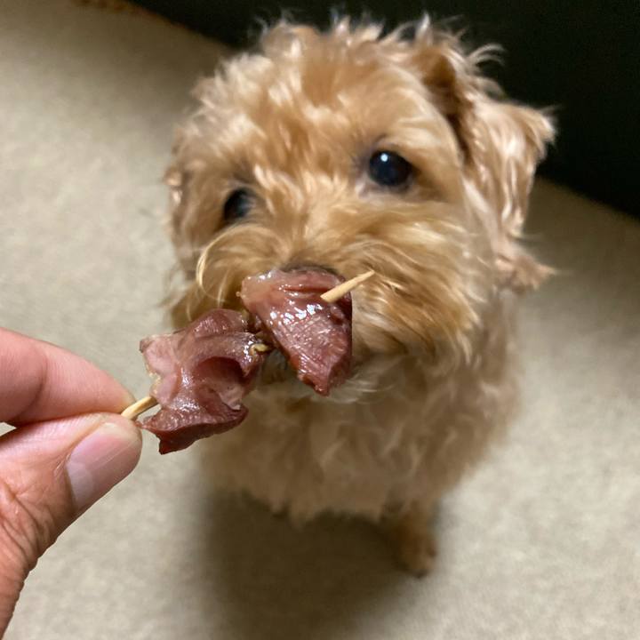 4e46f28d b2ce 49e8 ab12 335c0f7d2345 1677753532099